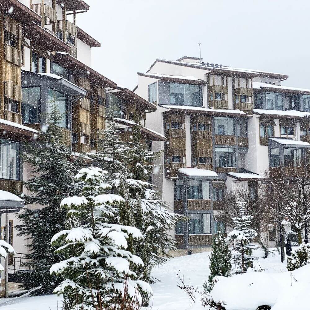 Comprehensive Guide to Durable Wooden Buildings in Harsh Climates