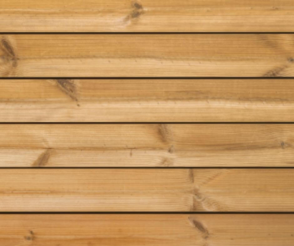 Details About Pine Tree