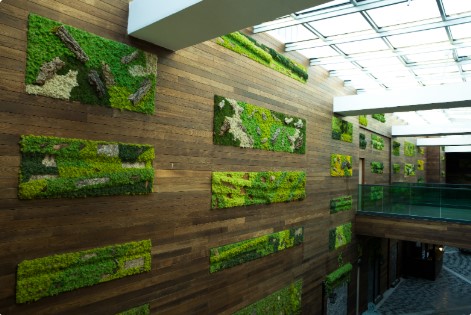Çevre Dostu Yapı Malzemelerinde FSC, PEFC ve EPD Sertifikalarının Önemi