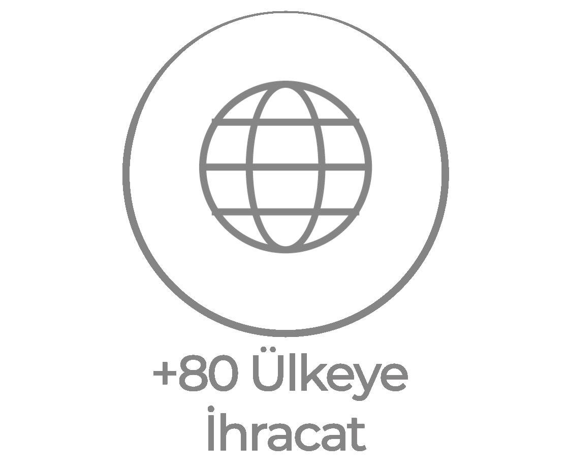 80+ Ülkeye İhracat