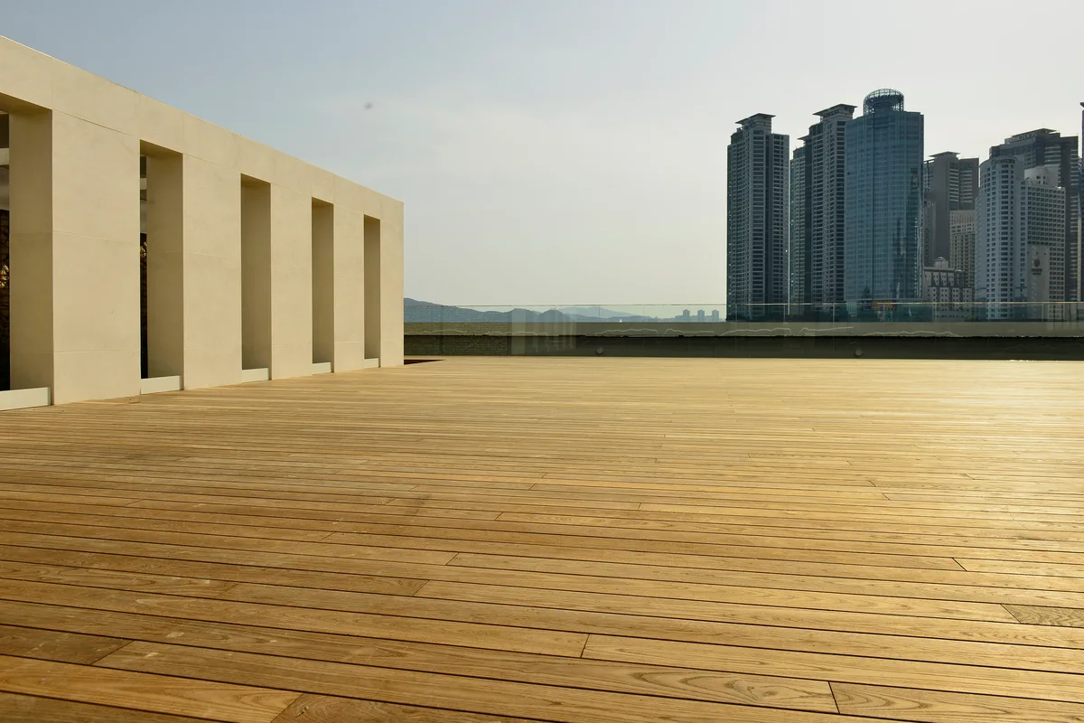 Nova-Ash South Korea 3