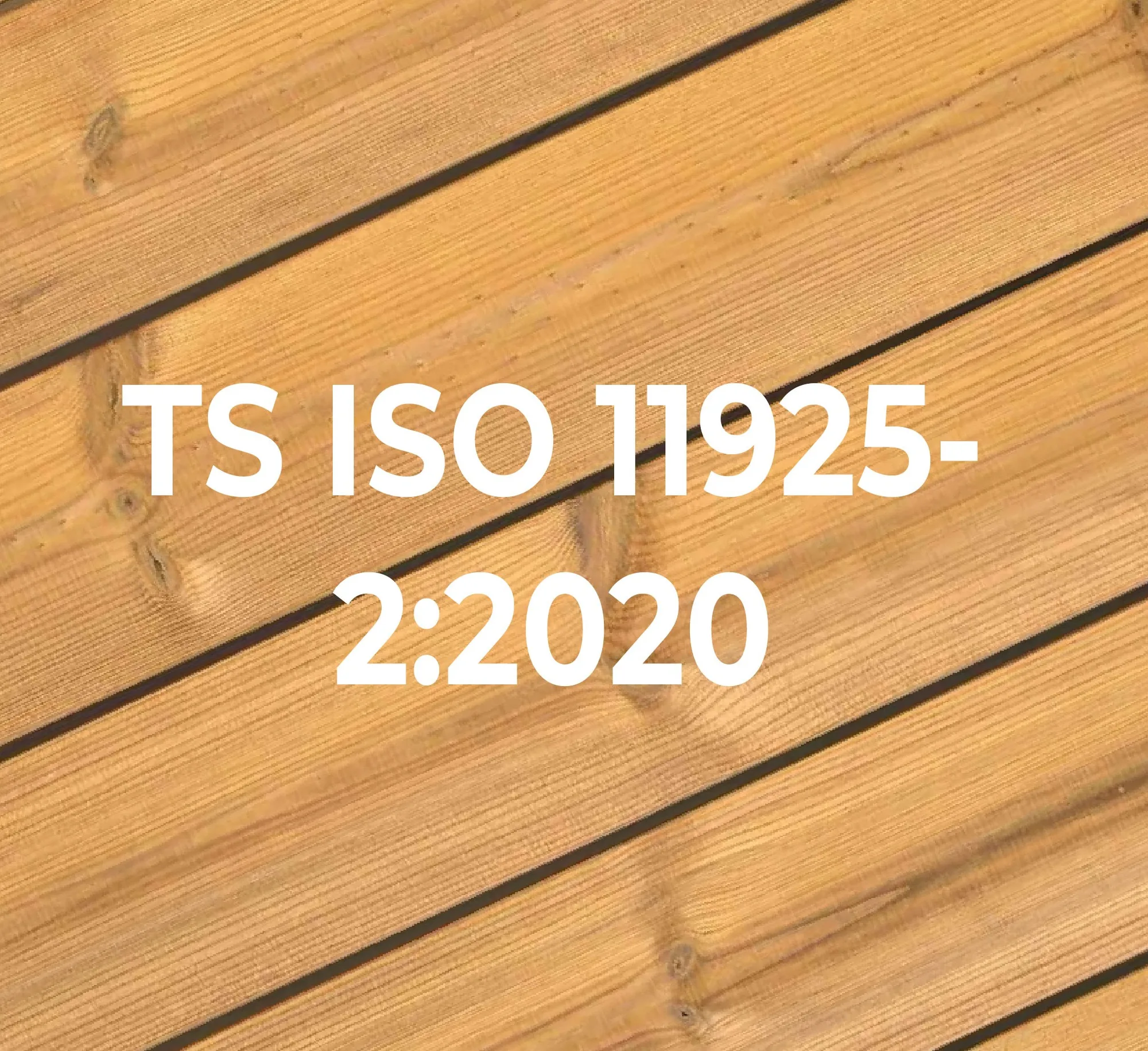 TS EN ISO 11925-2:2020