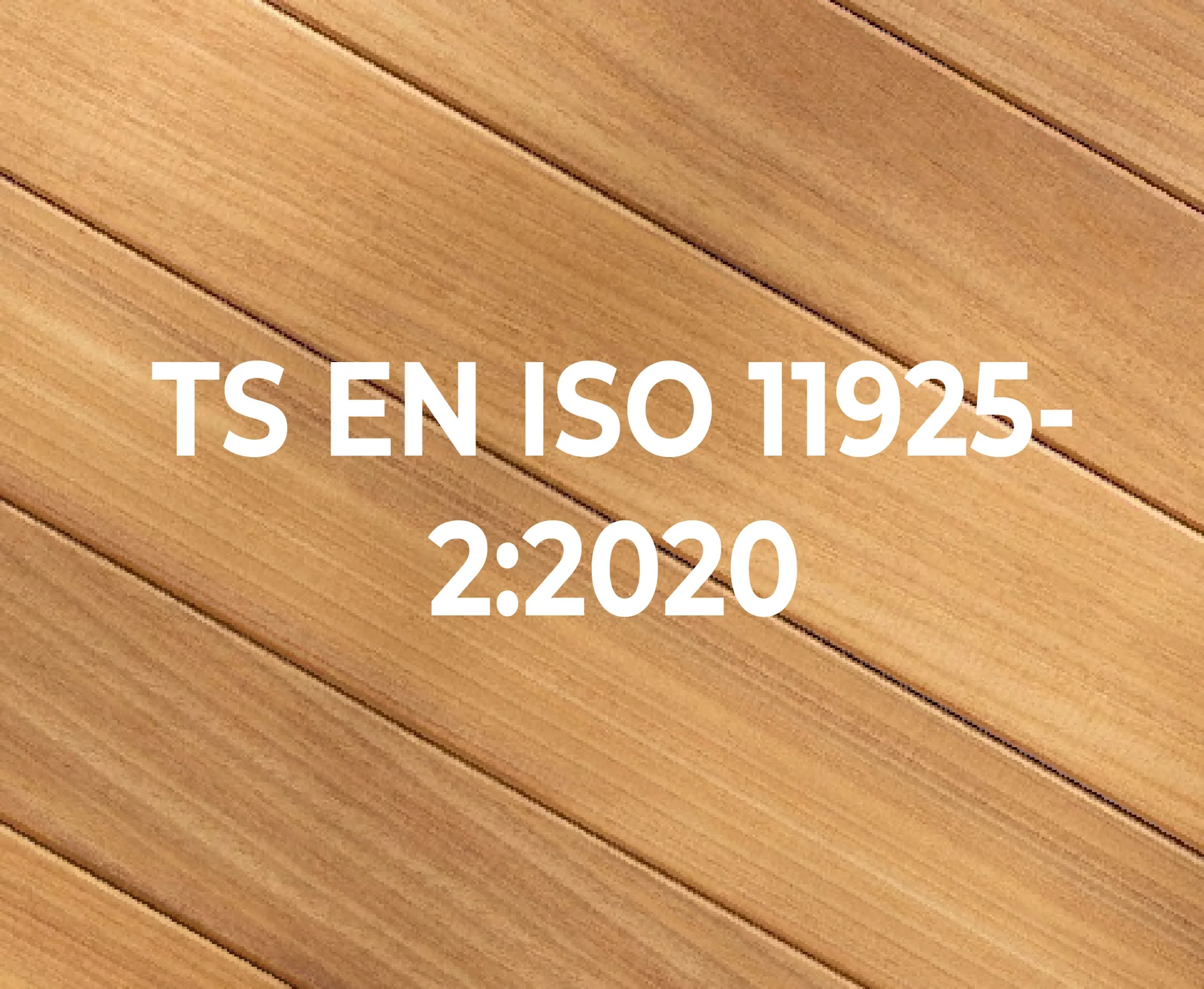 TS EN ISO 11925-2:2020