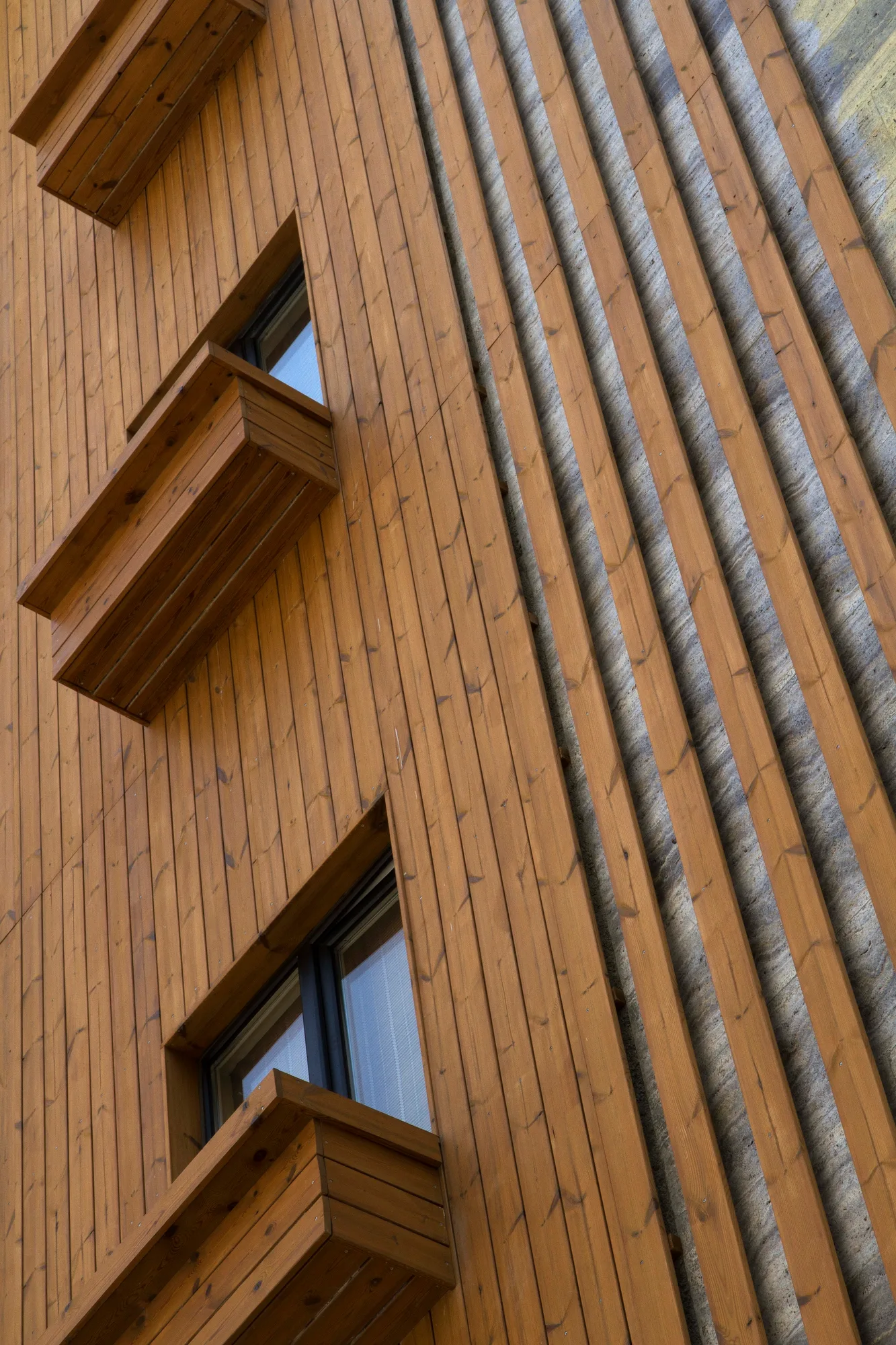 Nova-Pine Cladding