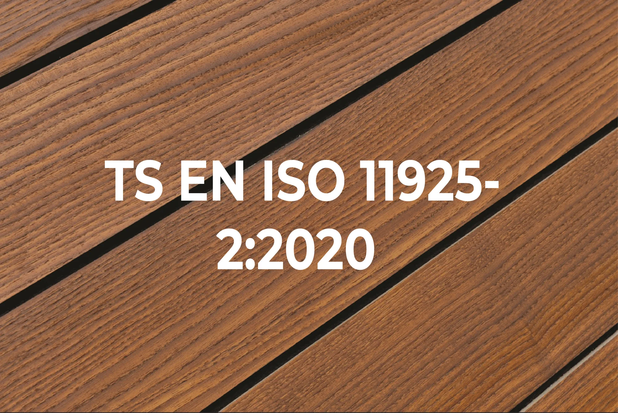 TS EN ISO 11925-2:2020