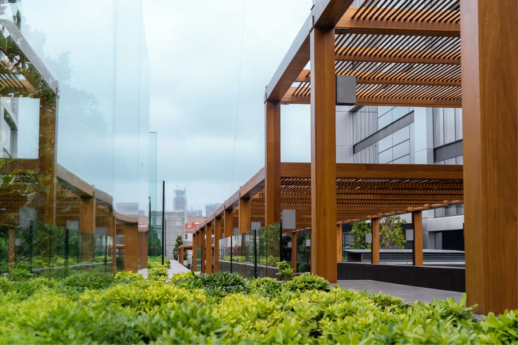 Pergola