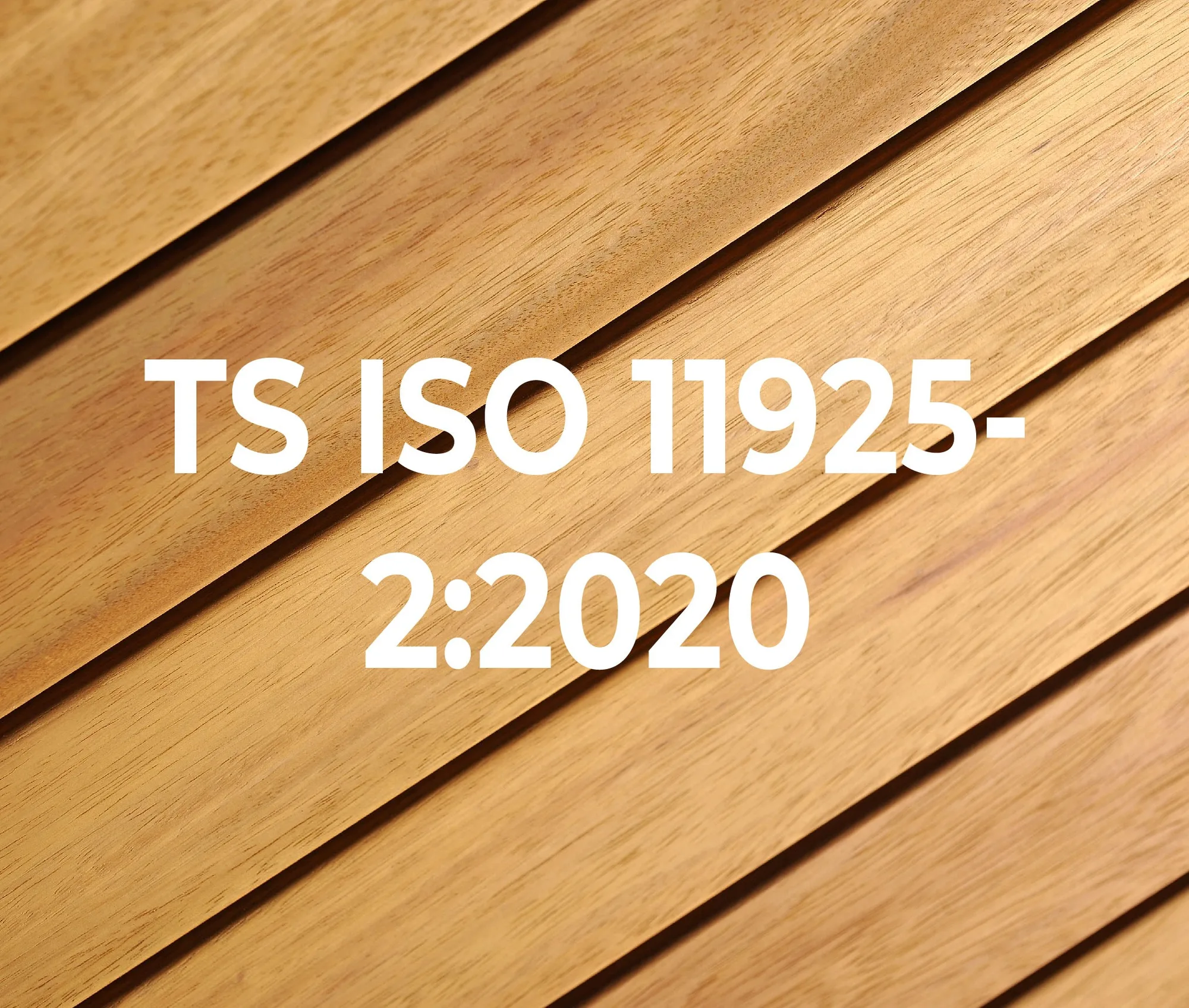 TS EN ISO 11925-2:2020 Iroko