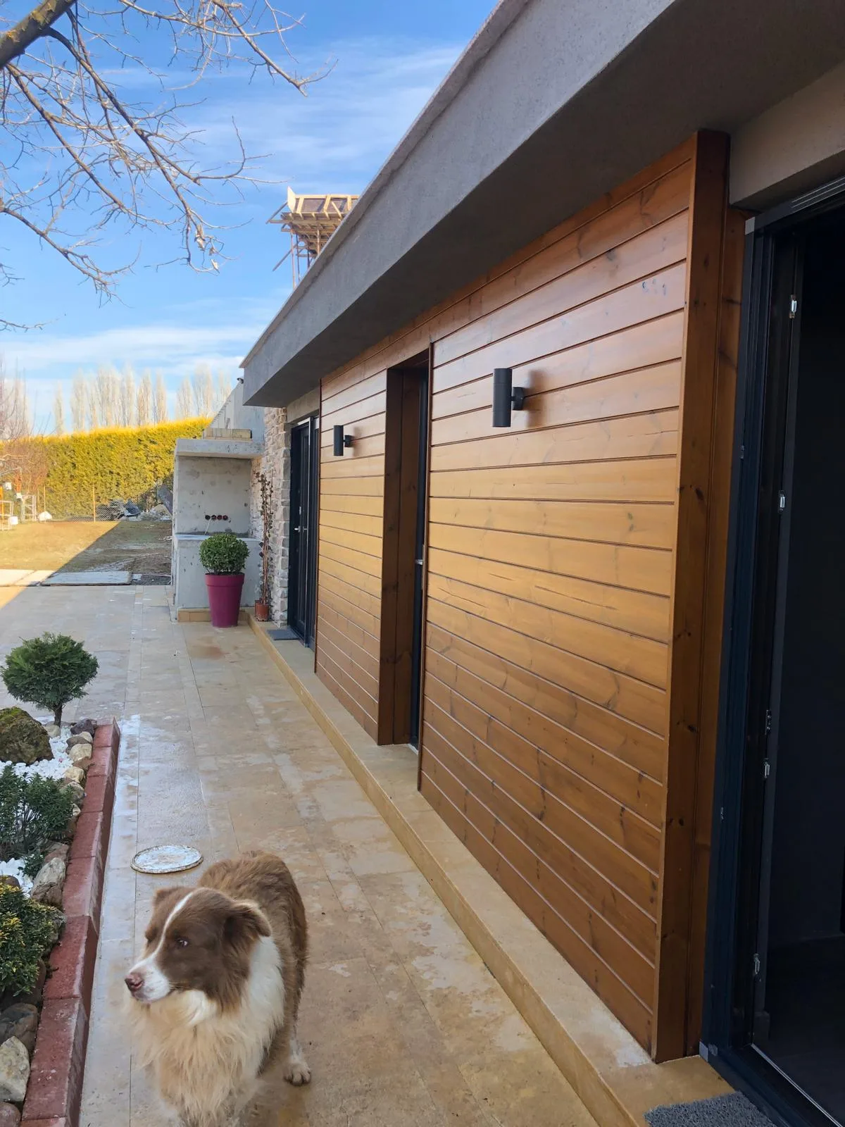Nova-Pine Cladding 3