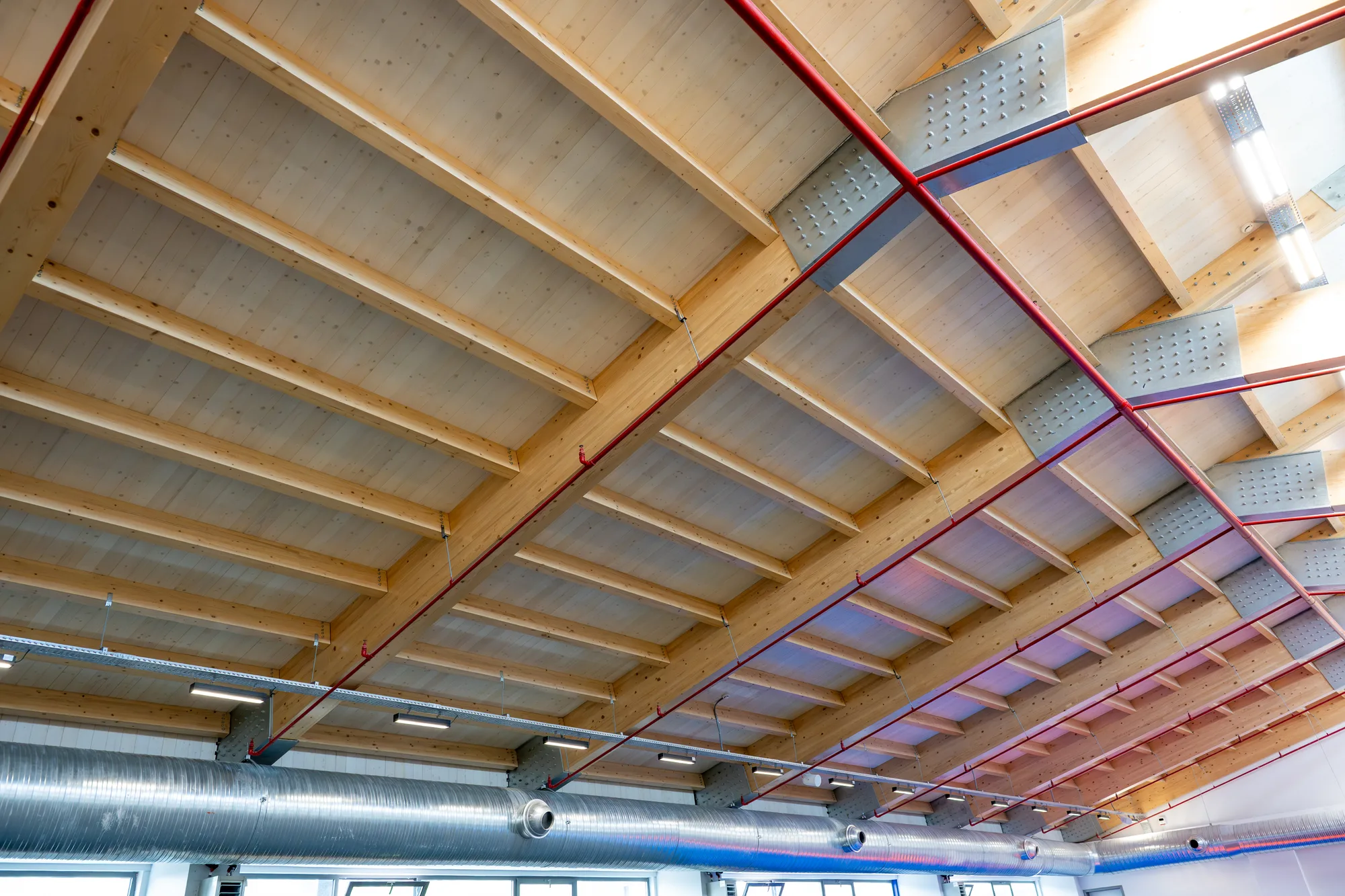 Lamine Ahşap (Glulam) 1