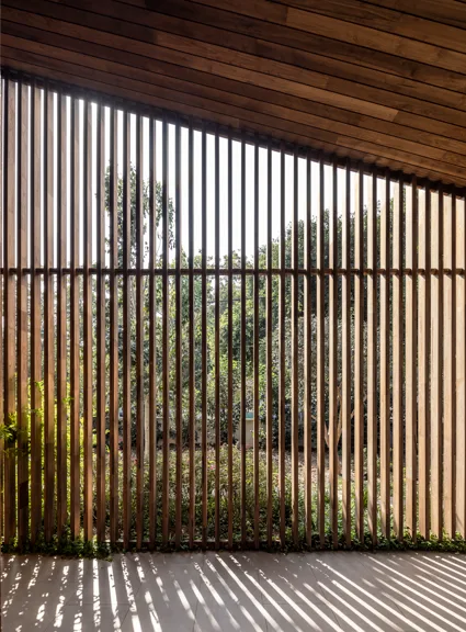 Nova-Tulipwood Sunshade 3
