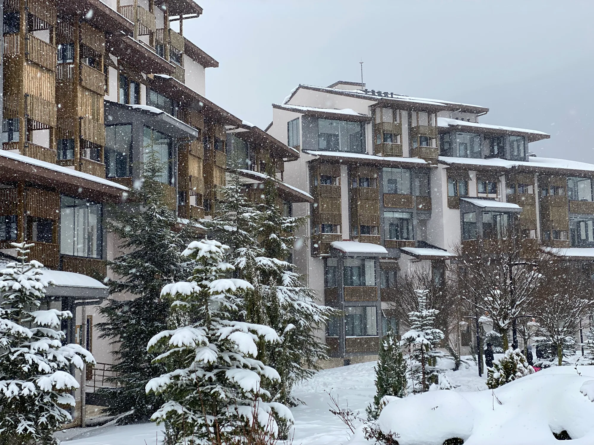 Comprehensive Guide to Durable Wooden Buildings in Harsh Climates