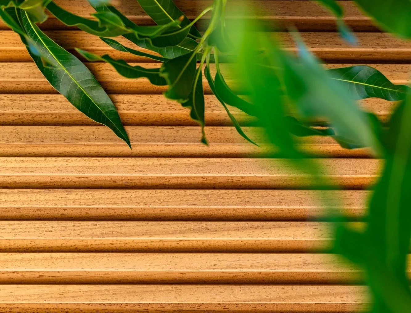 Novathermowood Ayous Wins the 2024 Sustainable Product of the Year Award