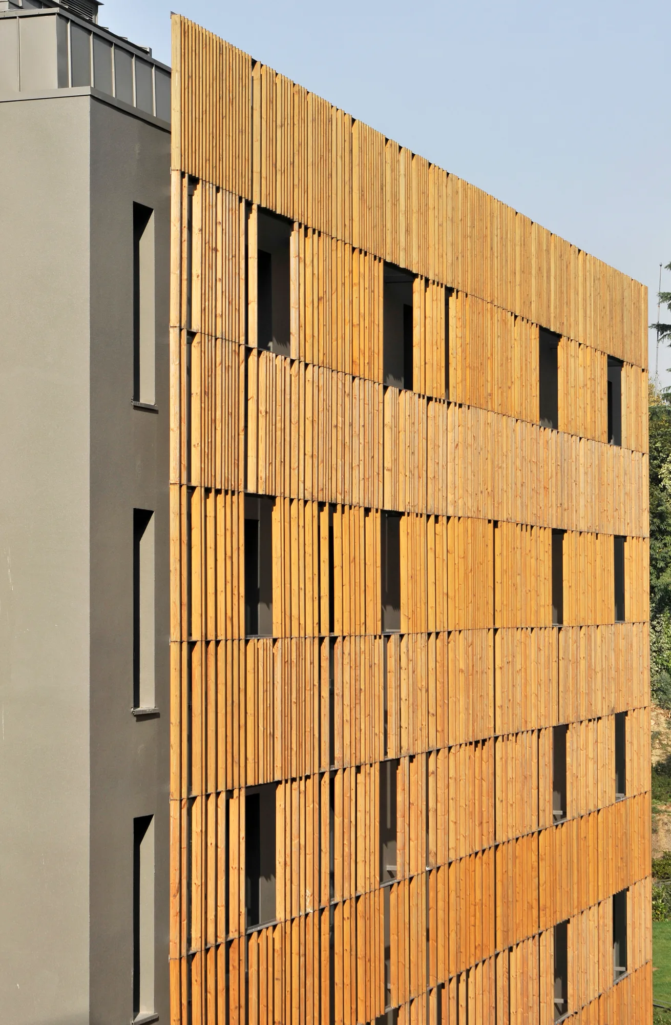 Nova-Pine Sunshade
