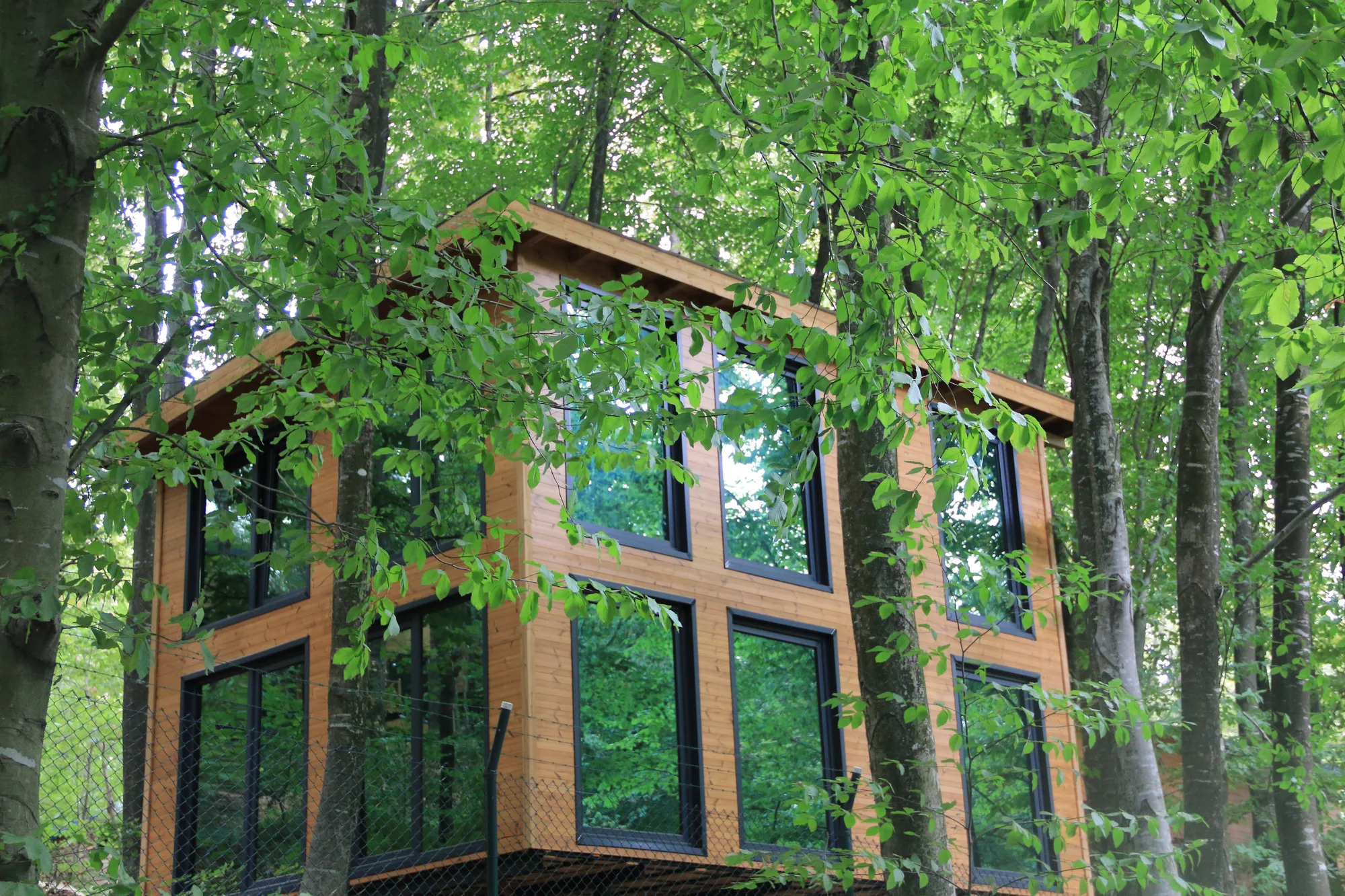 From Forest to Façade The Environmental Impact of Novawood Products